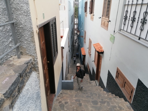 Bildquer